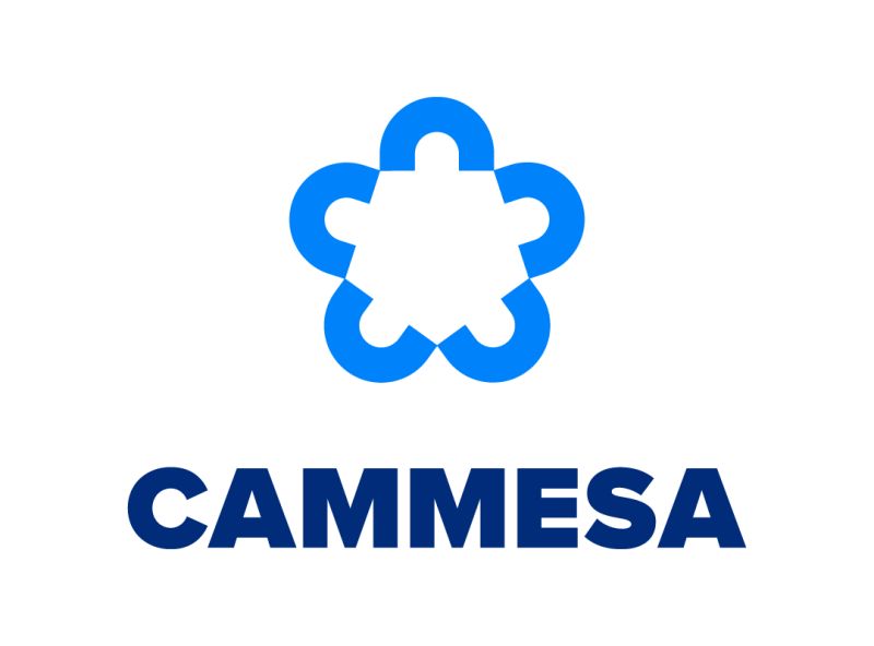 Camessa